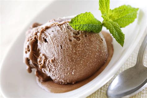 Remove ice cream and place in freezer for at least 15 minutes or longer. Frozen Yogurt - Ice Cream & Sorbet Maker in 2020 | Chocolate ice cream, Chocolate sauce recipes ...
