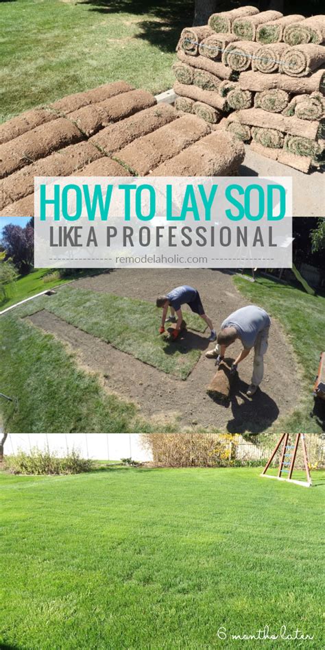 How To Install Your Own Sod Millie Diy