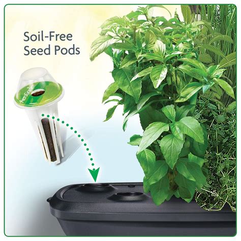 If you're looking for help in tending to your garden, taking care of your water or other ongoing tips and tricks, please visit our faq section in our blog. Amazon.com : Miracle-Gro AeroGarden Extra LED Indoor Garden with Gourmet Herb Seed Kit : Patio ...