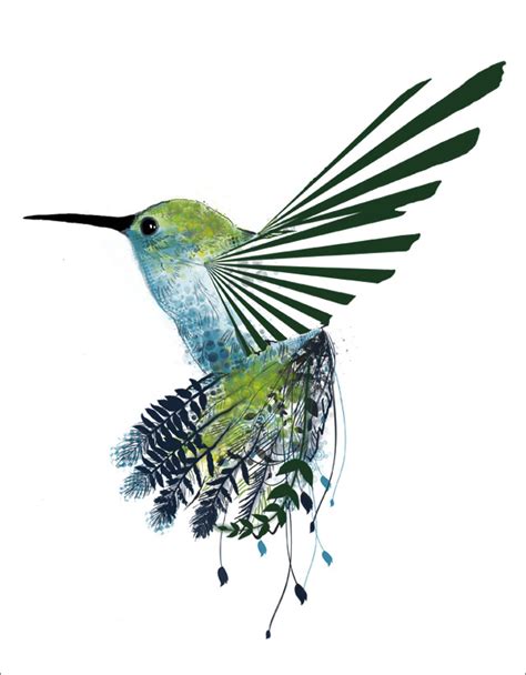 Hummingbird Drawings Clipart Best