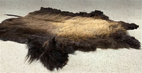 Buffalo Hides For Sale — Claw Antler And Hide Co