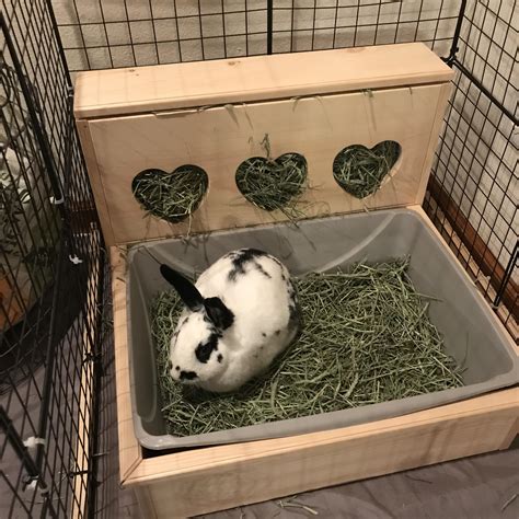 Large Hop Box Rabbit Bunny Hay Feeder And Litter Pan Combo Uk Hay