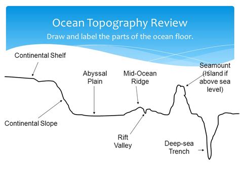 Ocean Floor Drawing at PaintingValley.com | Explore collection of Ocean