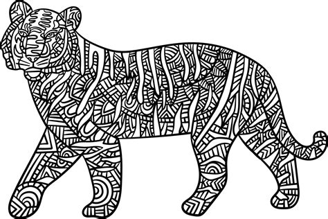 Tiger Mandala Coloring Pages For Adults Vector Art At Vecteezy