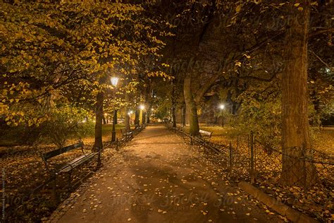 Autumn Night In A Park By Stocksy Contributor Tom Uhlenberg Stocksy