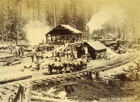 Logging Operation Showing A Sawmill Washington Ca 1889 Boyd And