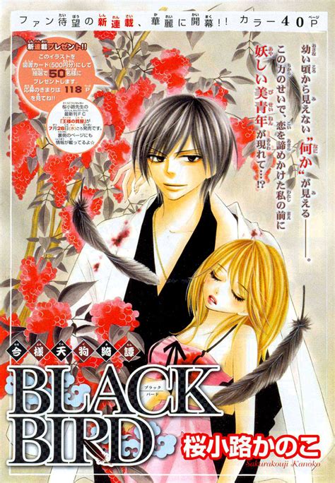 Frikiland La Tierra Del Manga Y El Anime Black Bird