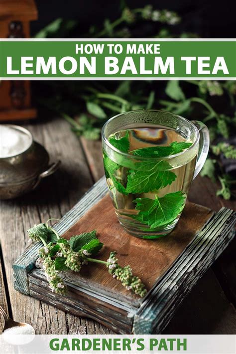 The Benefits Of Lemon Balm Tea And How To Make The Perfect Infusion