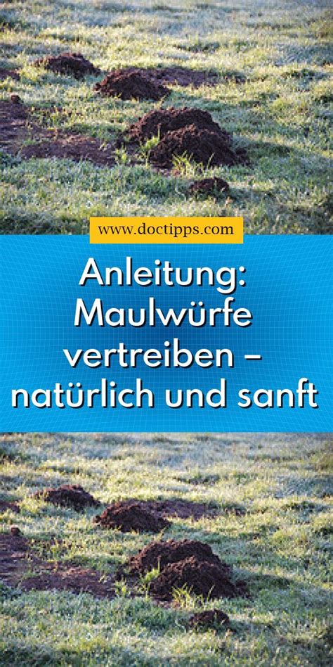 Check spelling or type a new query. Anleitung: Maulwürfe vertreiben - natürlich und sanft ...