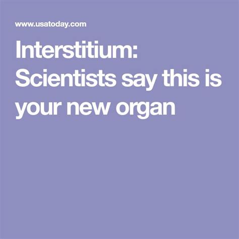Study Says We Have An Undiscovered Organ Its Called The Interstitium
