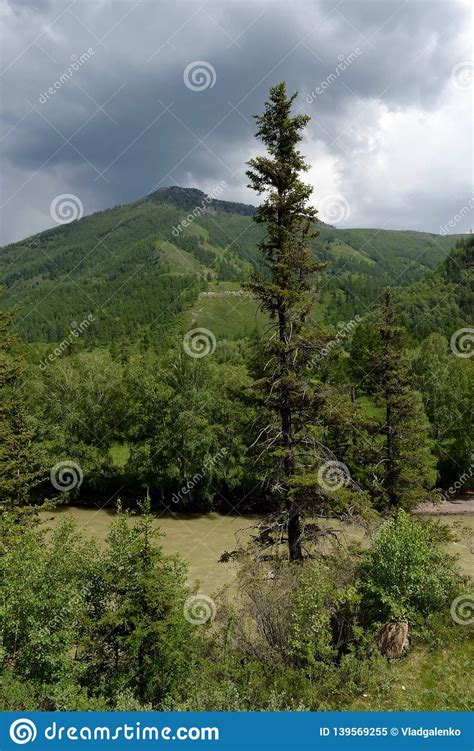 Mountain Landscape By The River Chuya Altai Republic Siberia Russia