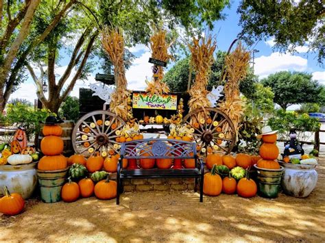 Pumpkin Celebration Community Calendar The Austin Chronicle