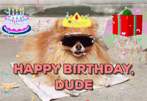 Happy Birthday Hbd Dog Dance 
