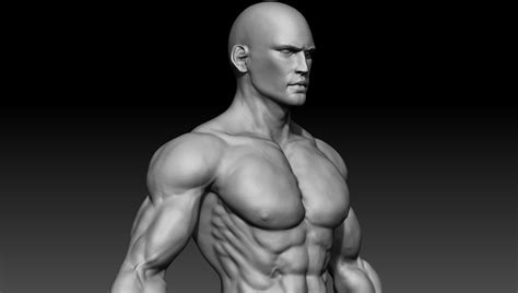 Awesome D Model Muscle Emgold Mockup