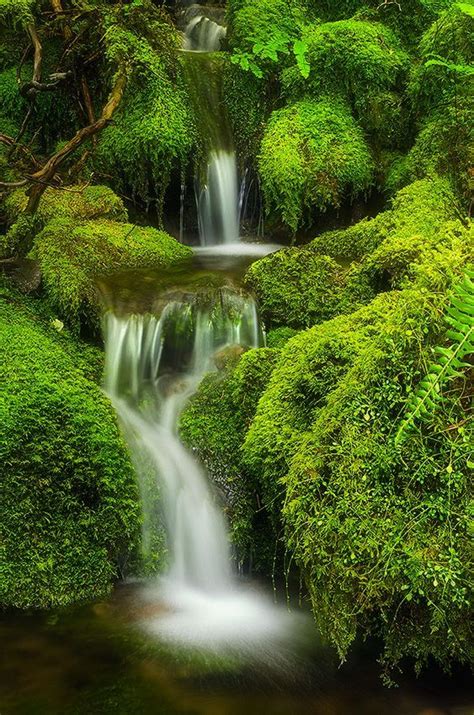 Image Result For Mossy Waterfall Beautiful Waterfalls Beautiful
