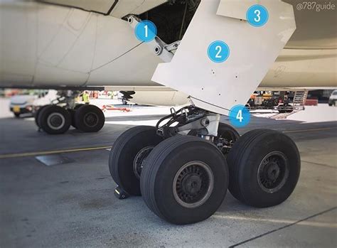 Boeing 787 Landing Gear Door Extravaganza Theres A Nice Patchwork Of