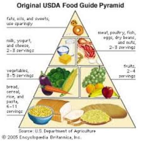 Original Usda Food Pyramid Dissident Voice