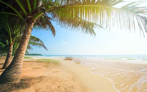 Descargar Fondos De Pantalla 4k Trópicos La Playa Vacía La Costa El
