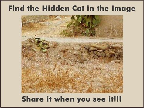 Picture Riddle Spot The Hidden Cat In The Given Image Riddles