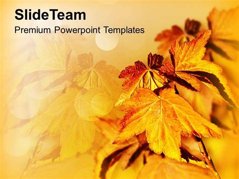 Autumn Leaves Background Beauty Powerpoint Templates Ppt Themes And