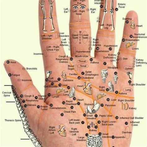 Massage Techniques For Hand Reflexology Reflexology Hand Reflexology