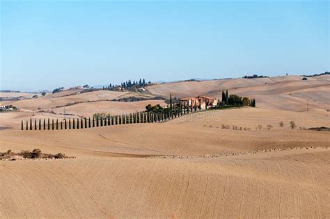 Villa In Tuscany With Cypress Road Or Alley In Autumn Valley Of Val D