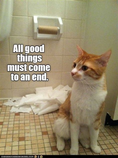 All Good Things Must Come To An End Lolcats Lol Cat Memes Funny