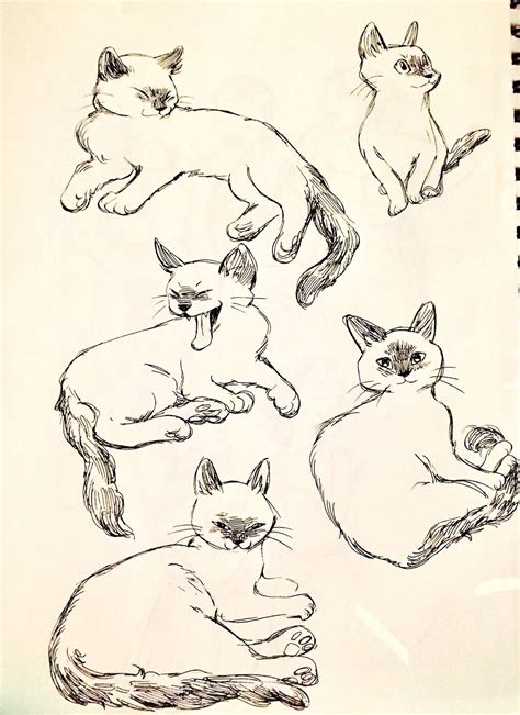 Pin By Irina Smirnova On Cat Drawing Animal Drawings Cartoon Cat