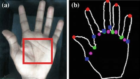 Biometric Traits Anatomy A Palm Print And B Hand Geometry Download
