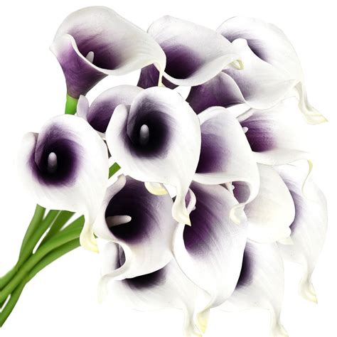 Fiveseasonstuff Stems Real Touch White Deep Purple Calla Lilies