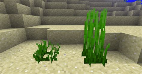 More images for how to get double tall grass in minecraft » Sea Grass | Minecraft Wiki | FANDOM powered by Wikia