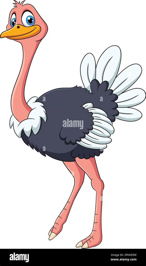 Cute Ostrich Animal Cartoon Illustration Stock Vector Image And Art Alamy
