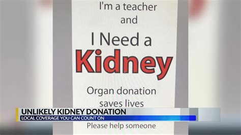 How To Qualify To Donate A Kidney