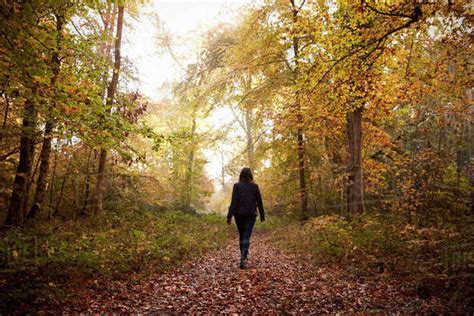 Woman Walking Along Path In Autumn Woodland Stock Photo Dissolve