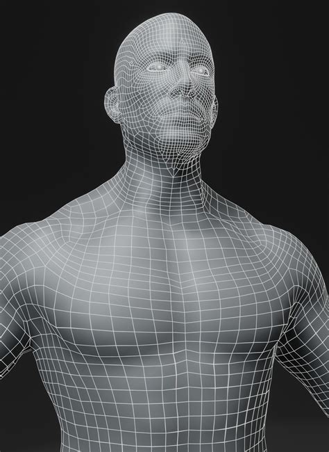 Human Body Base Mesh 10 3d Models Collection 10k Polygons Cgtrader
