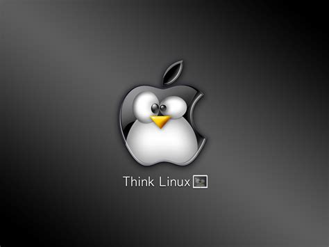 Linux Tux Wallpapers Wallpaper Cave