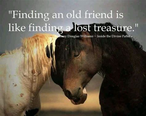 Finding An Old Friend Is Like Finding A Lost Treasure Animal