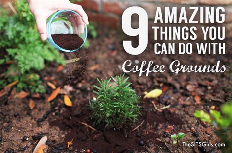 Learn exactly what coffee grounds do for soil health, which of your plants will benefit from coffee grounds the most, and how you can start reusing your java waste to help your plants thrive today. 9 Amazing Things You Can Do With Coffee Grounds