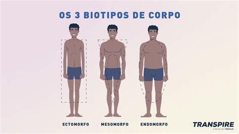 Biotipos De Corpo Ectomorfo Endomorfo E Mesomorfo
