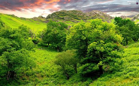 Green Valley Trees Viewes Rocks Beautiful Views Wallpapers 1680x1050