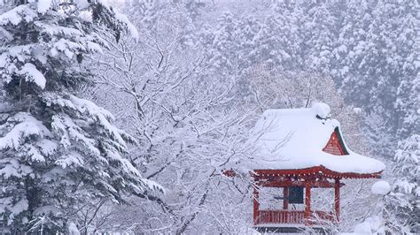 Japanese Winter Wallpapers Top Free Japanese Winter Backgrounds