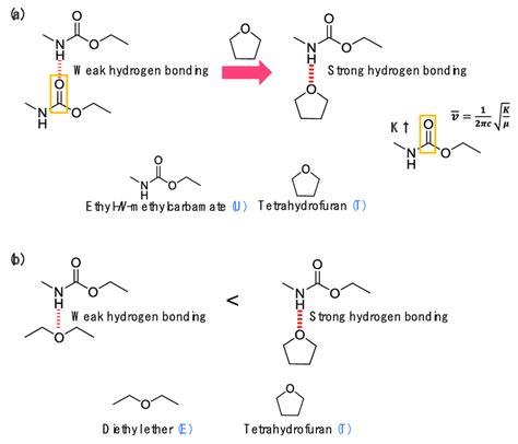 Schematic Illustrations Of A The Hydrogen Bonding Between Two
