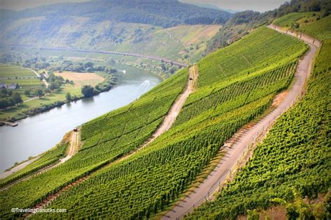 Why You Should Visit The Mosel Valley In Germany