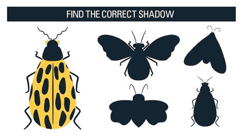 Premium Vector Insects Beetle Find The Right Shadow An Educational