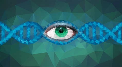 Within the nucleus of your cells is where dna transcription takes place. What is a gene? | Facts | yourgenome.org