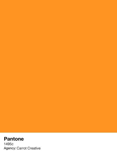 Carrot Creative Orange Pantone Concept Via Max Davies Pantone