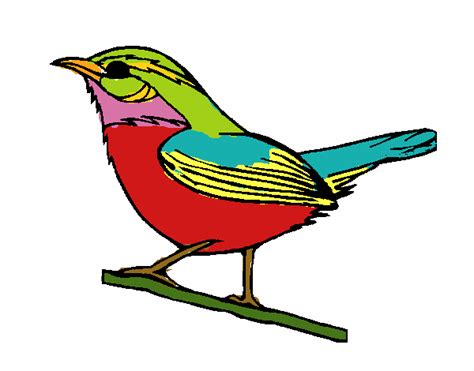 Desenho De Pássaro Silvestre Pintado E Colorido Por Usuário Não