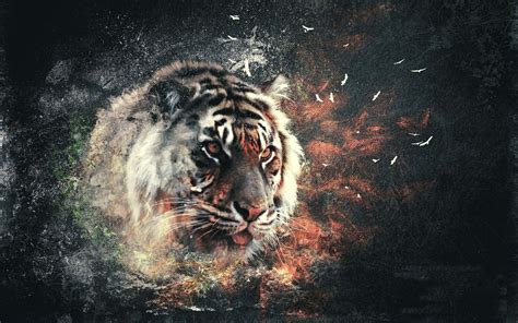 Abstract Tiger Wallpaper Wallpapersafari