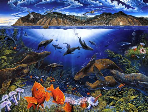 Sea Life Hd Wallpaper Background Image 2027x1537 Id