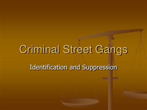Criminal Street Gangs